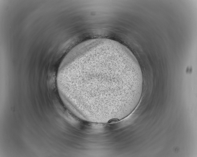 X0000091450144200709061743