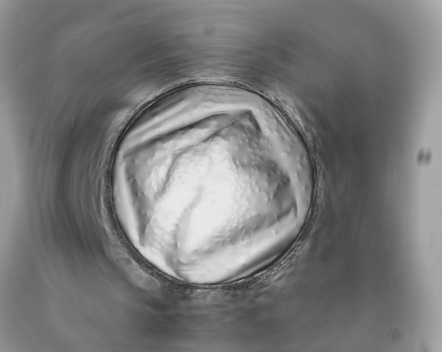 X0000091450145200709061742