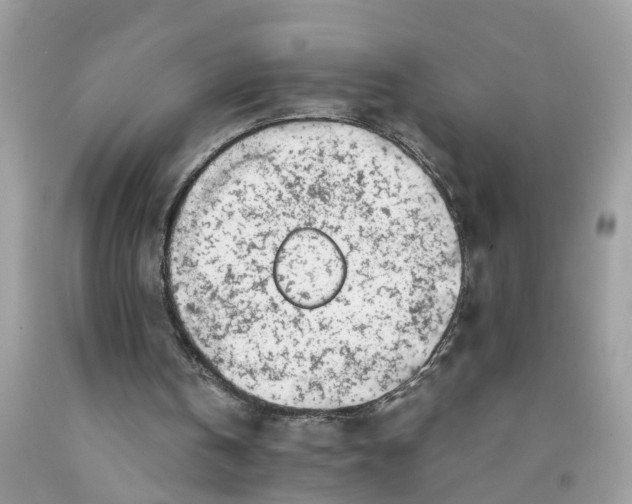 X0000091450146200709061742