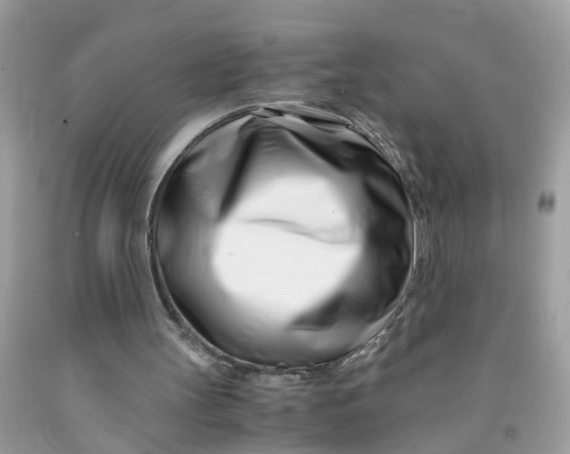 X0000091450147200709061742