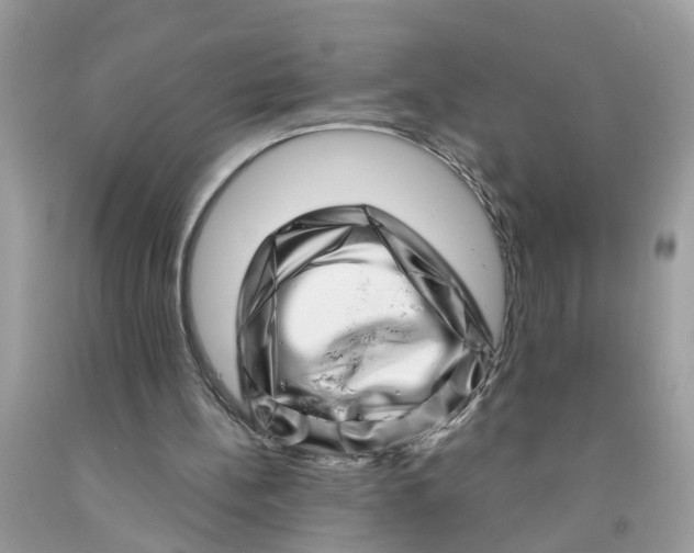 X0000091450148200709061742