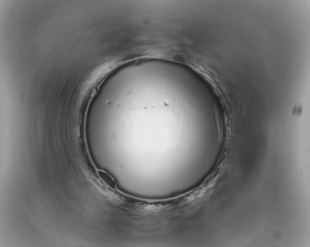 X0000091450149200709061742