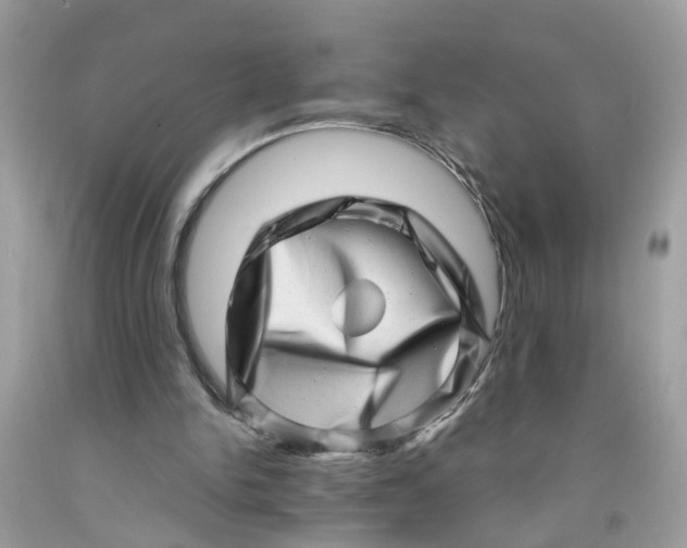 X0000091450150200709061742