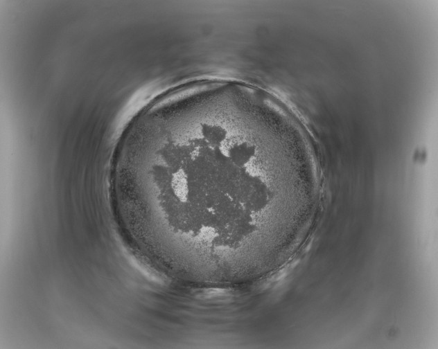 X0000091450151200709061742