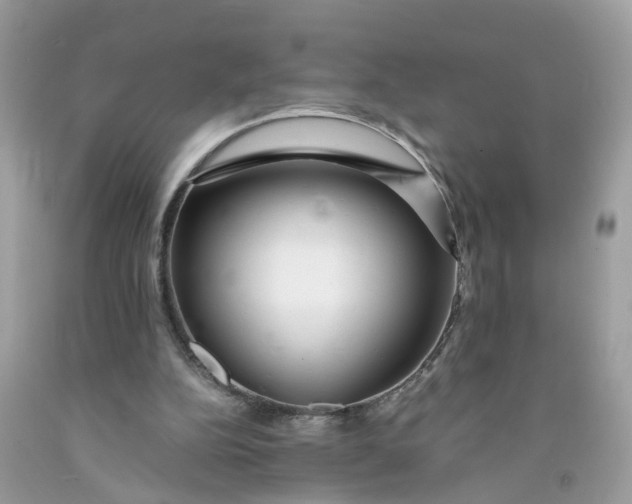 X0000091450152200709061742