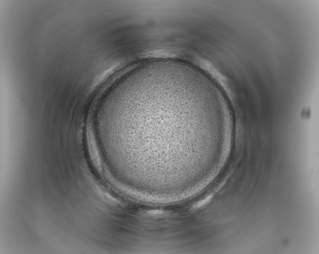 X0000091450153200709061742