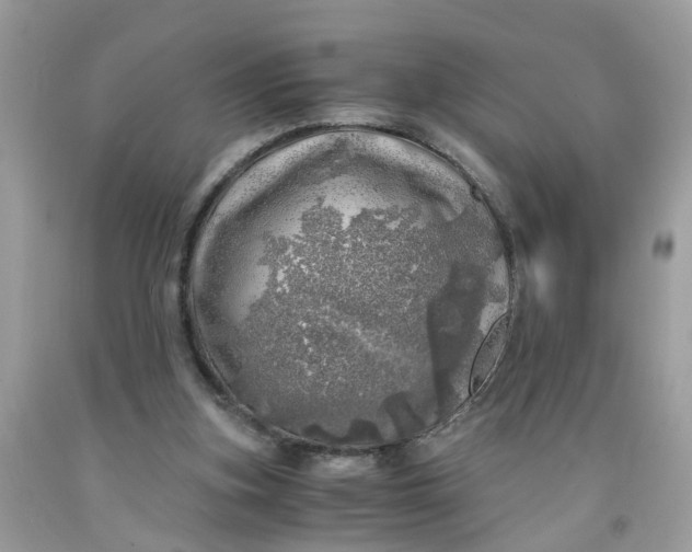 X0000091450155200709061742