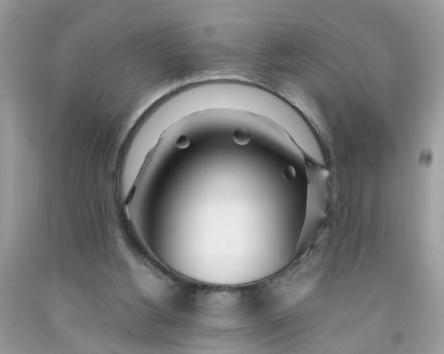 X0000091450156200709061742