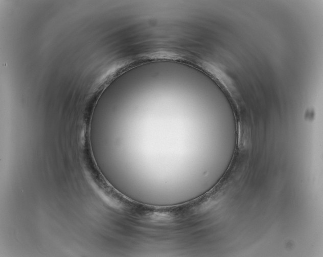 X0000091450157200709061742