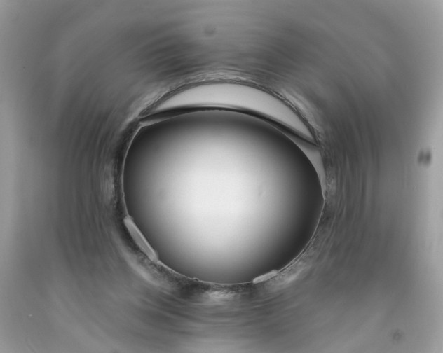 X0000091450158200709061742