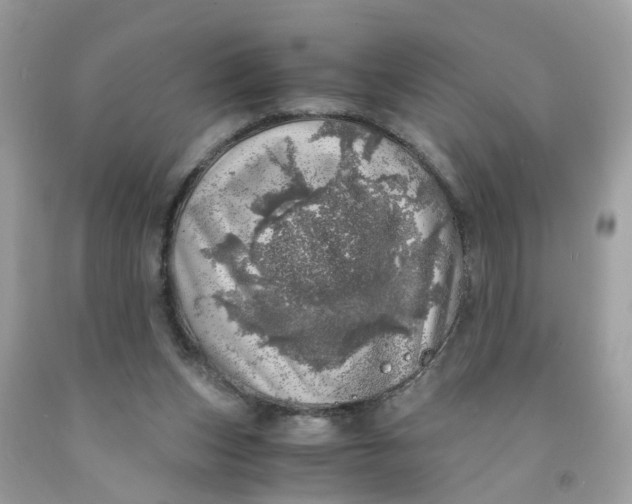 X0000091450159200709061743