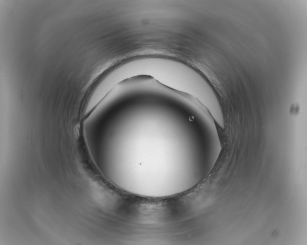 X0000091450160200709061743