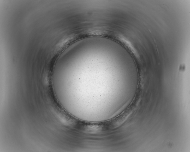 X0000091450161200709061743