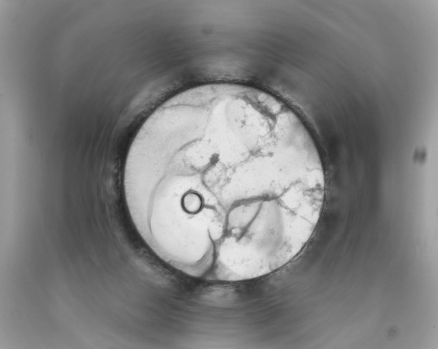 X0000091450162200709061743