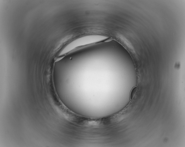 X0000091450163200709061743