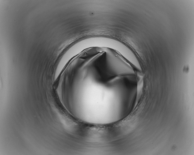 X0000091450164200709061743