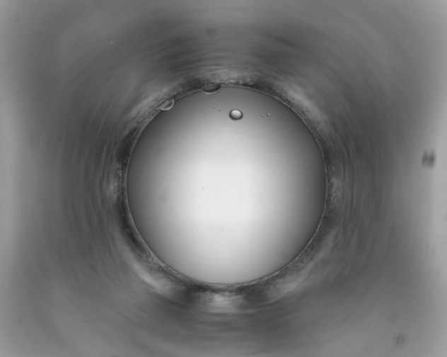 X0000091450165200709061743