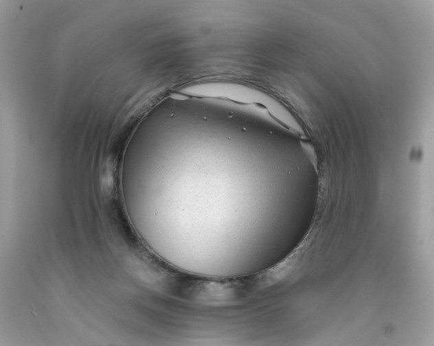 X0000091450166200709061743