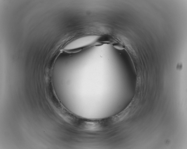 X0000091450167200709061743