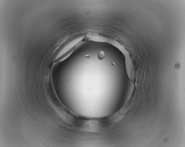 X0000091450168200709061743