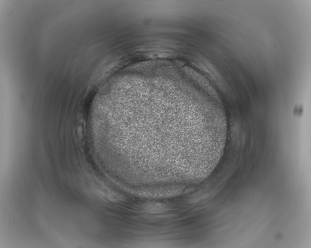 X0000091450169200709061743