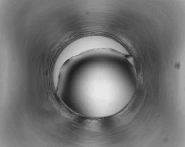 X0000091450170200709061743