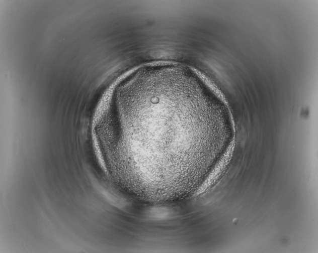 X0000091450171200709061743