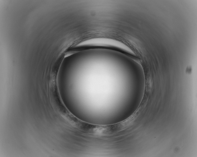 X0000091450172200709061743