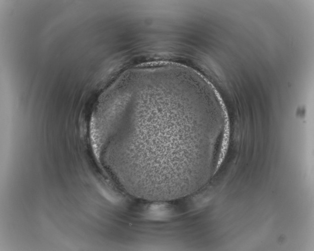 X0000091450173200709061743