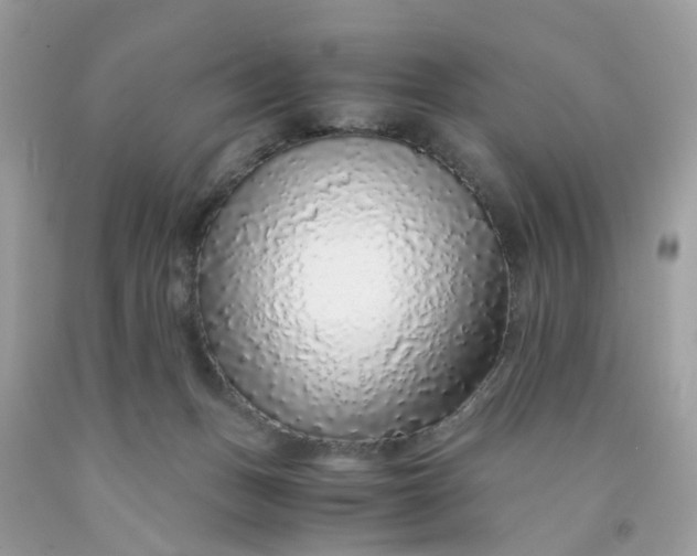 X0000091450175200709061743