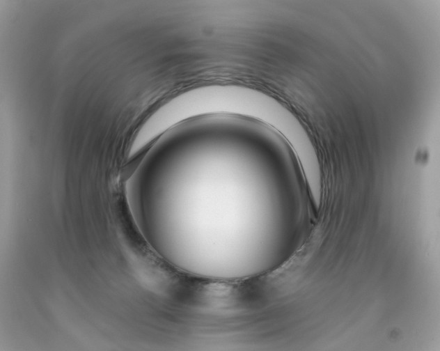 X0000091450176200709061743