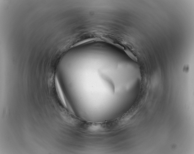 X0000091450177200709061743