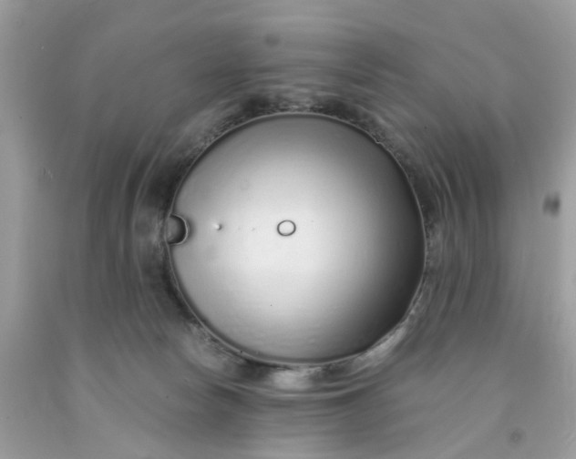 X0000091450178200709061743