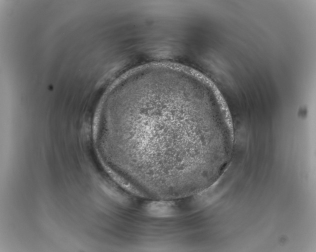 X0000091450179200709061743