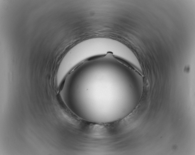 X0000091450180200709061743