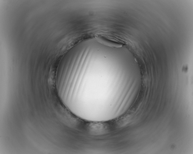 X0000091450181200709061743