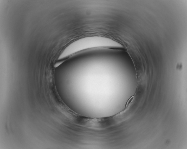 X0000091450182200709061743