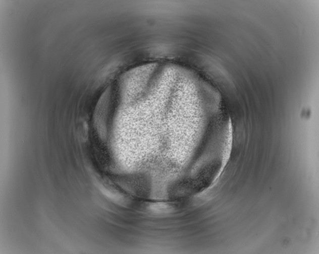 X0000091450183200709061743