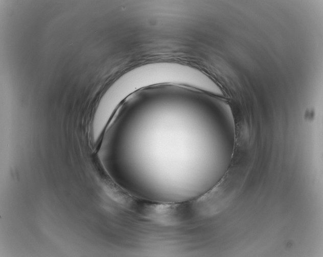 X0000091450184200709061743