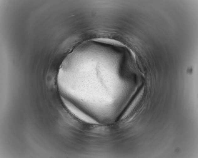 X0000091450185200709061743