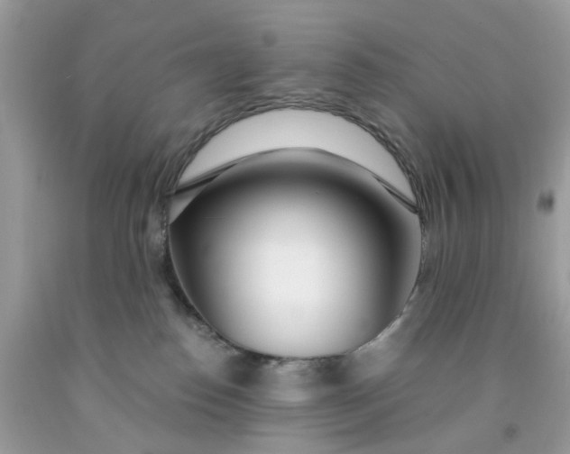 X0000091450186200709061743