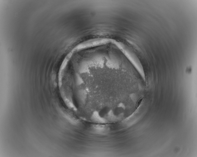 X0000091450187200709061743