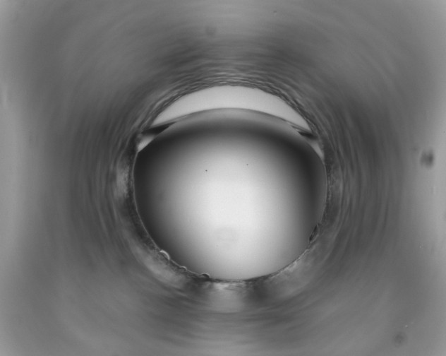 X0000091450188200709061743