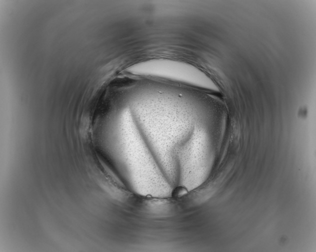 X0000091450189200709061743