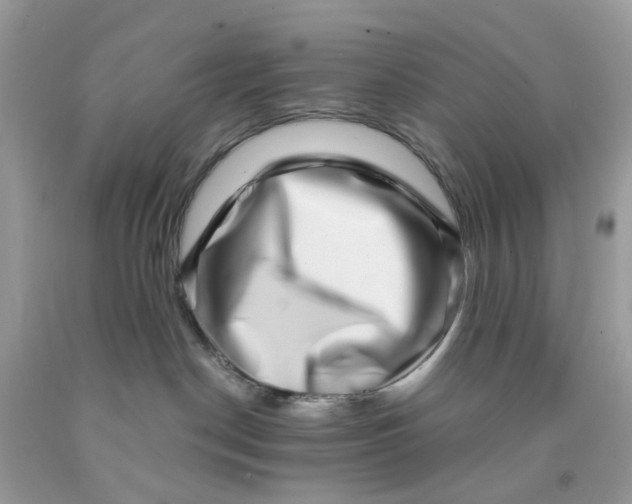 X0000091450190200709061743