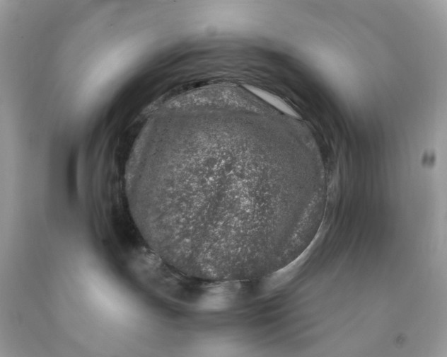 X0000091450191200709061743