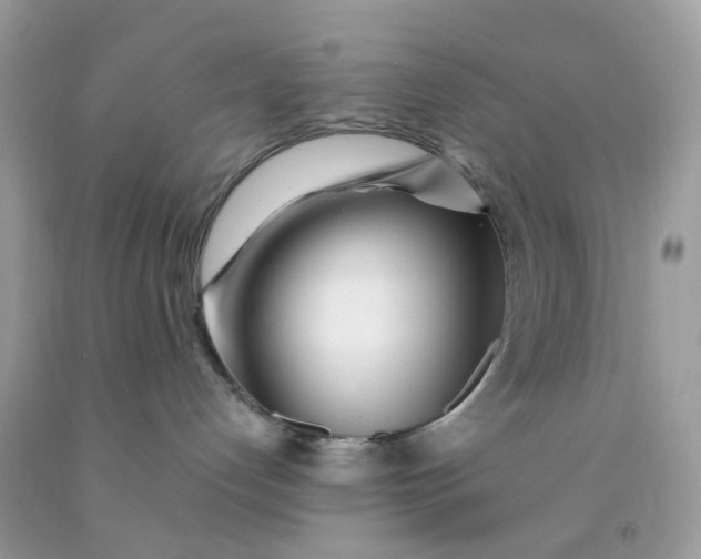 X0000091450192200709061743