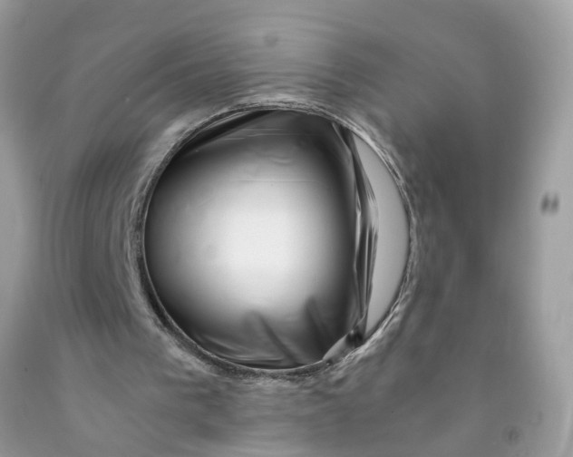 X0000091450193200709061742