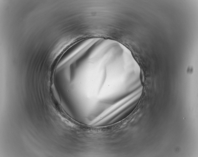 X0000091450194200709061742