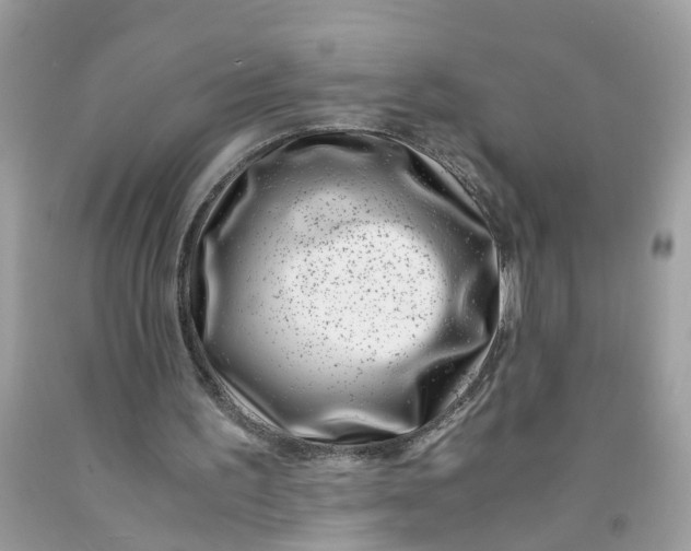 X0000091450195200709061742